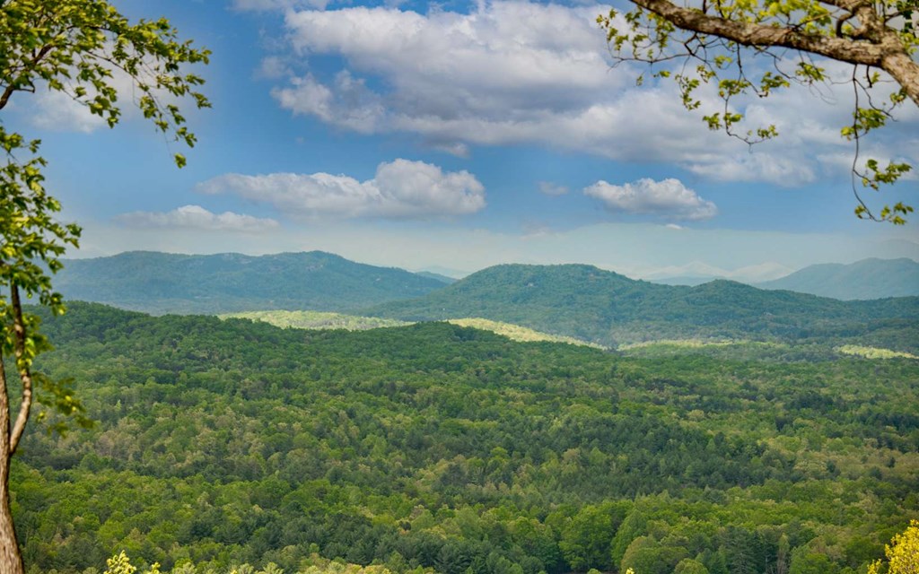 417789 Morganton Land