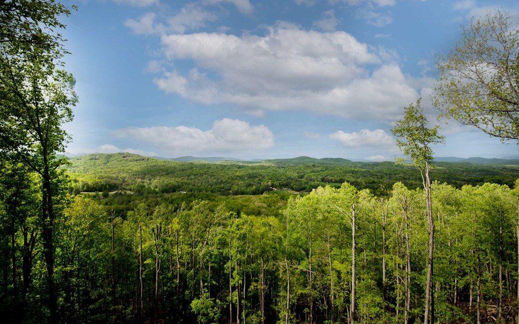 417789 Morganton Land
