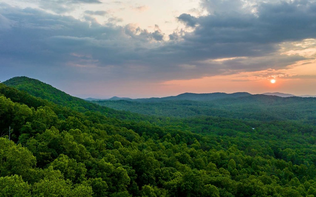 417789 Morganton Land