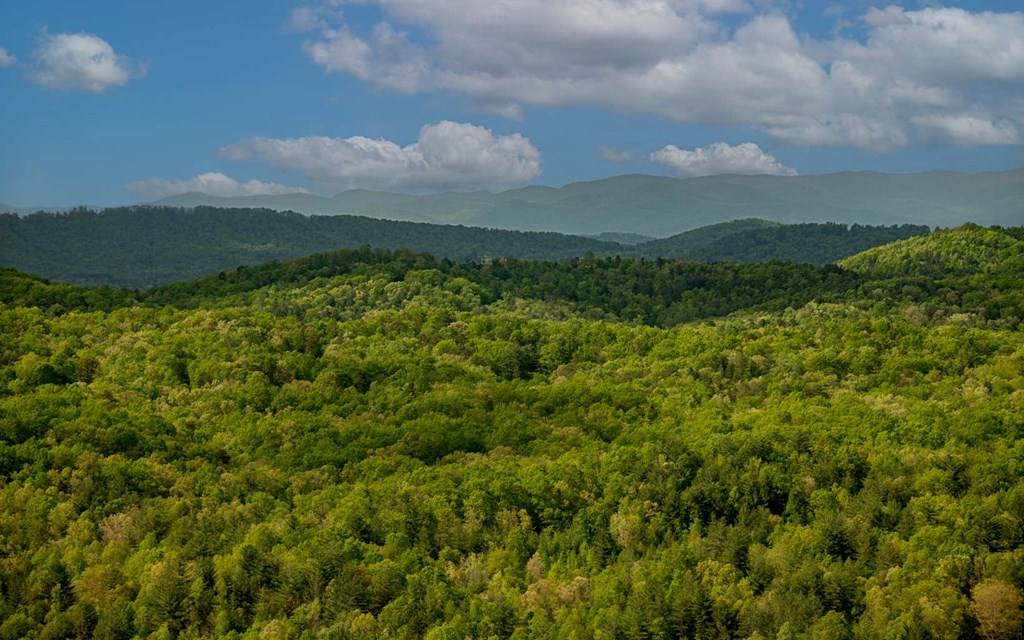 417789 Morganton Land