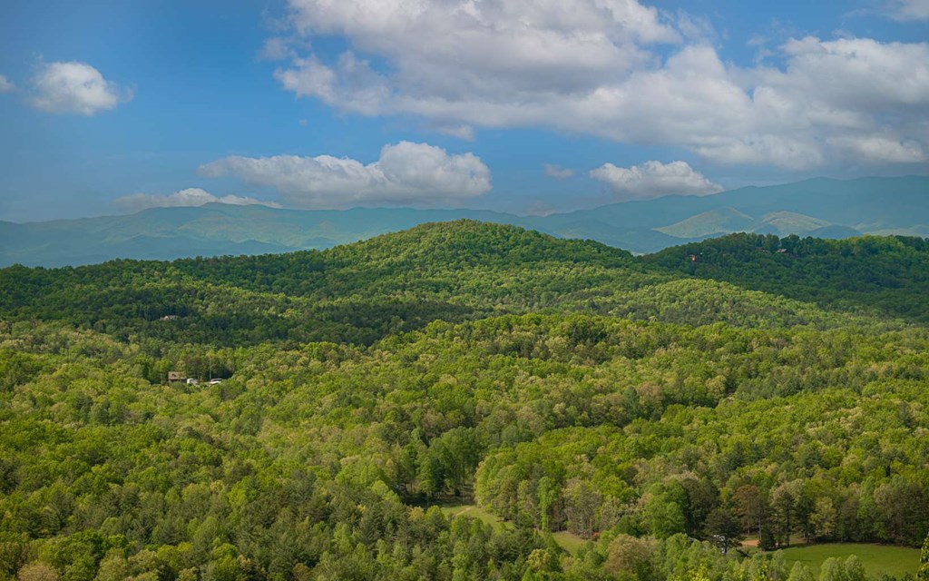 417789 Morganton Land