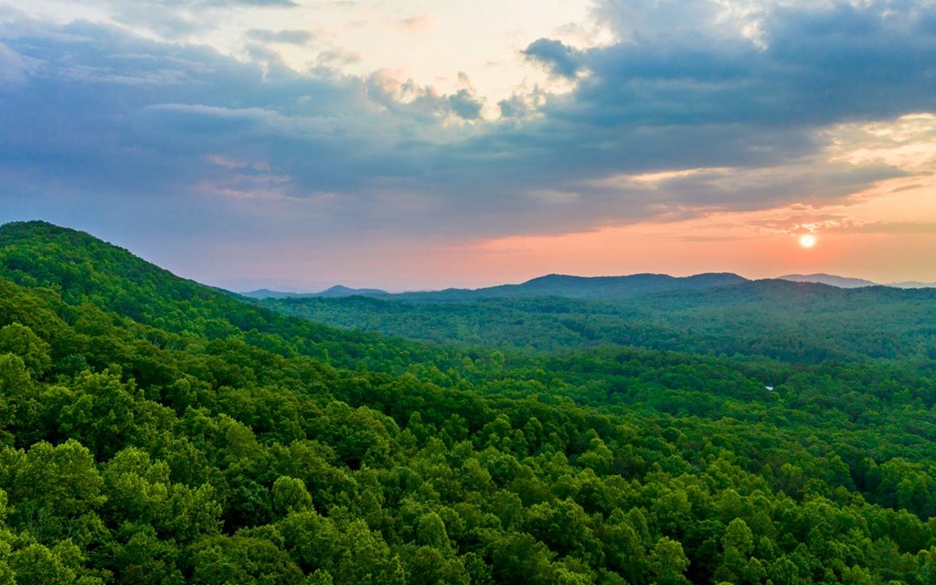 417789 Morganton Land