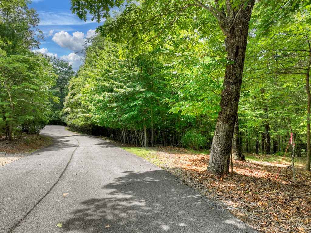417791 Mineral Bluff Land