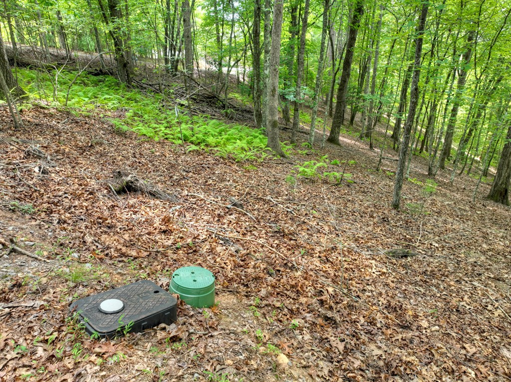 417791 Mineral Bluff Land