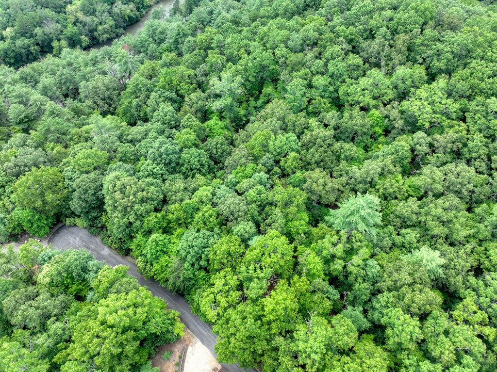 417791 Mineral Bluff Land