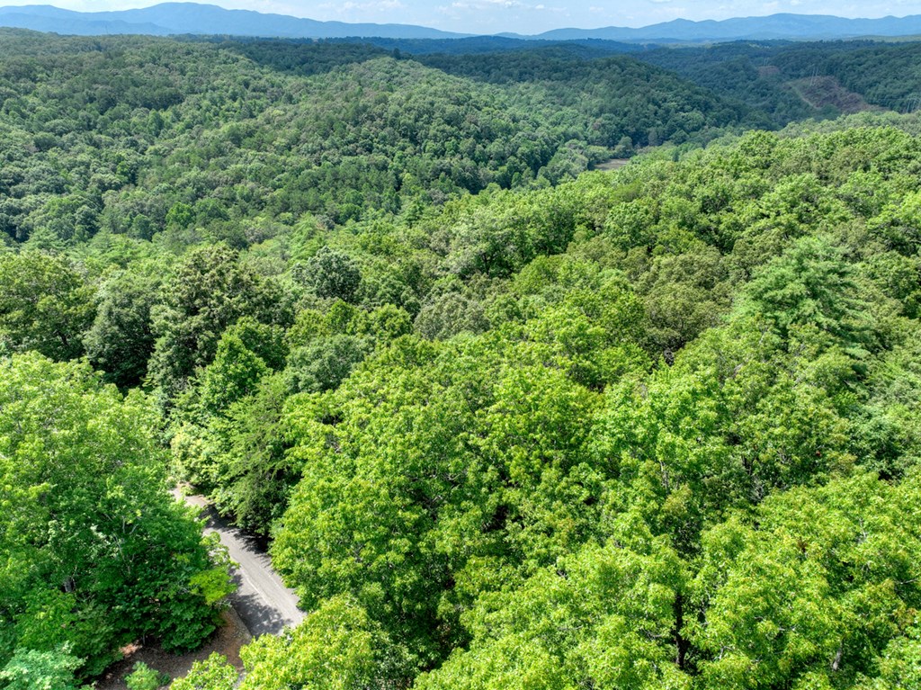 417791 Mineral Bluff Land