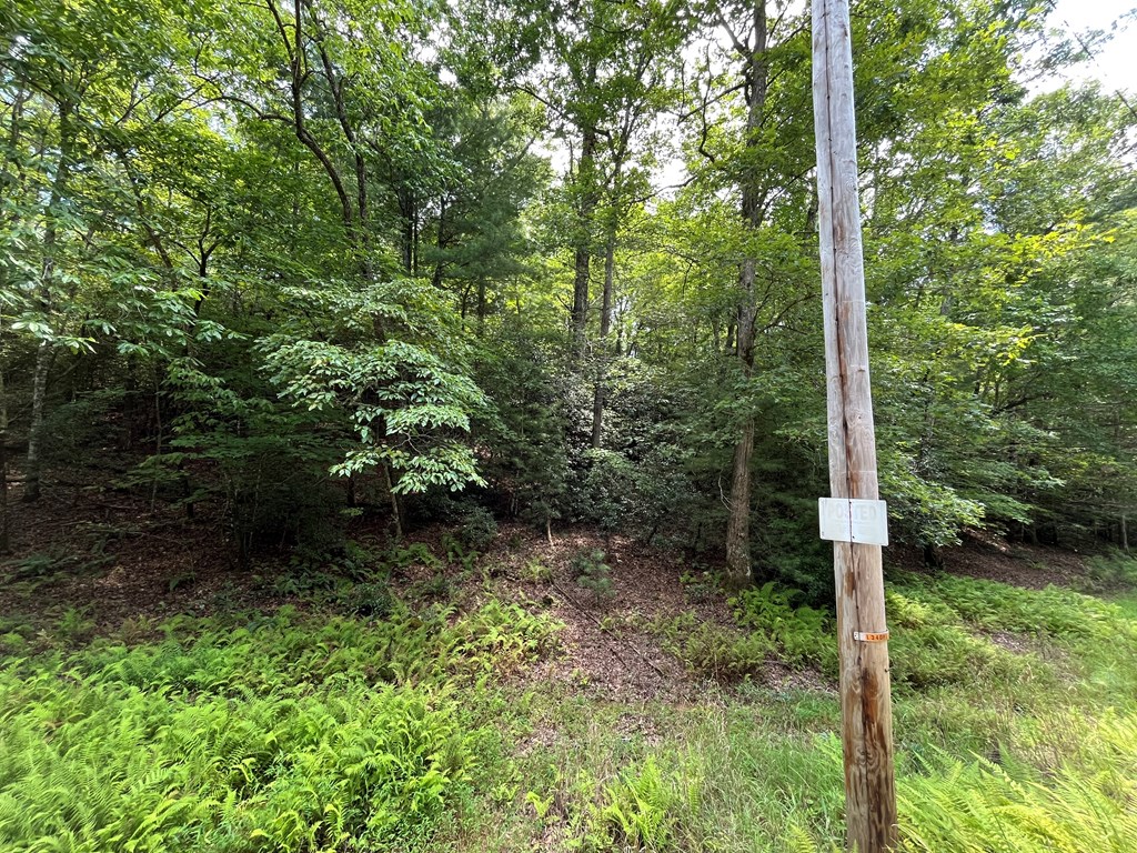 417793 Brasstown Land