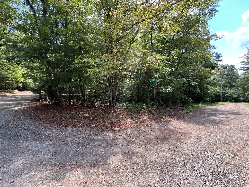 417793 Brasstown Land