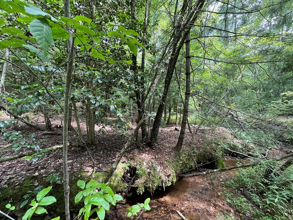 417793 Brasstown Land