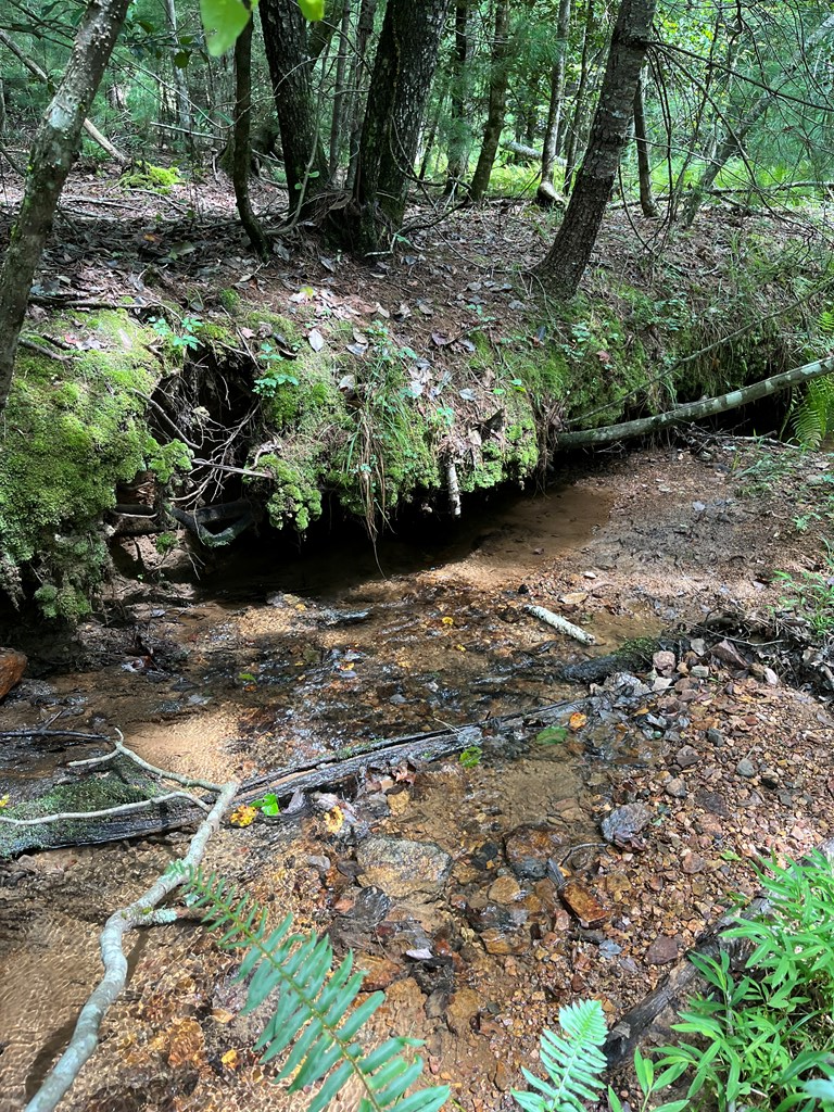 417793 Brasstown Land