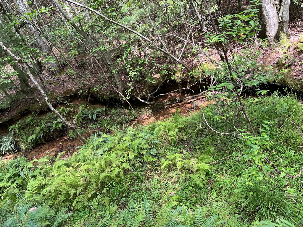 417793 Brasstown Land