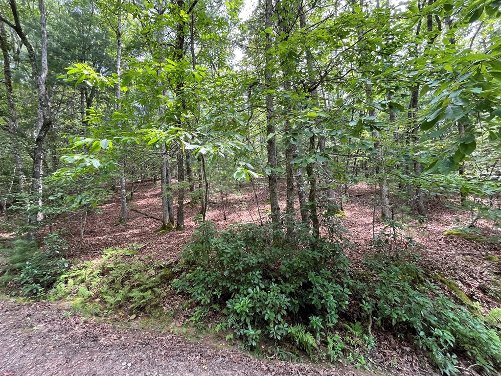 417793 Brasstown Land