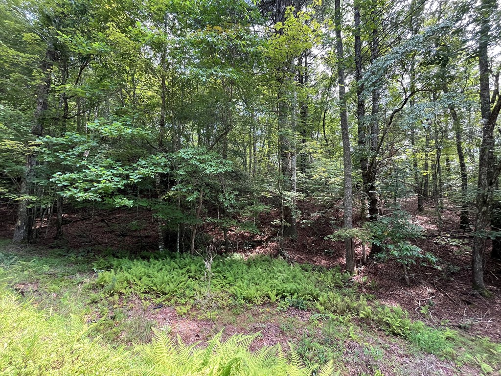 417793 Brasstown Land