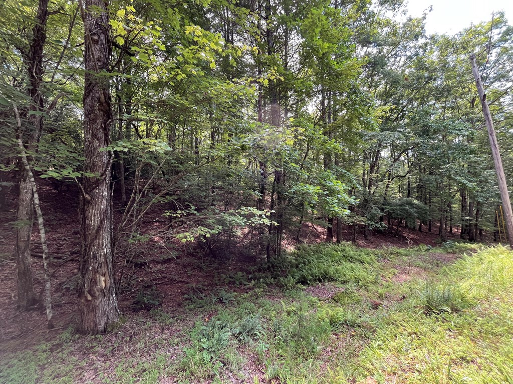 417793 Brasstown Land