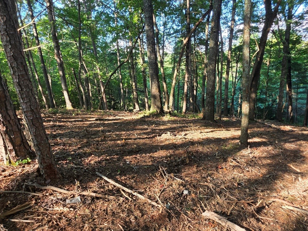 417797 East Ellijay Land