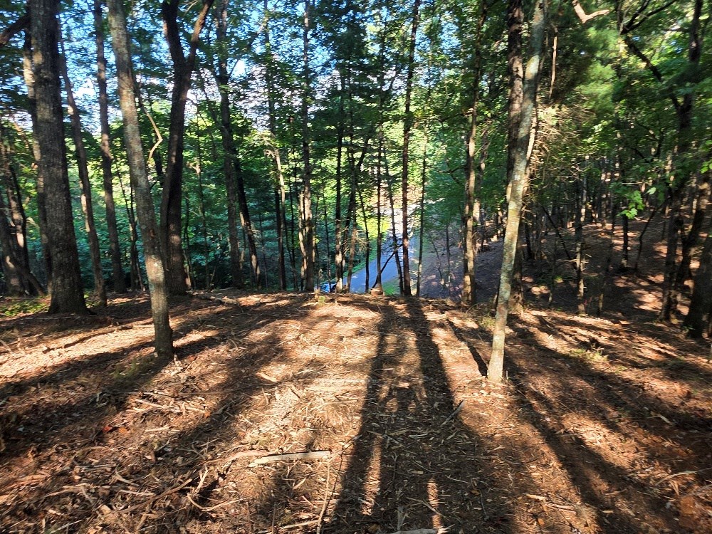 417797 East Ellijay Land