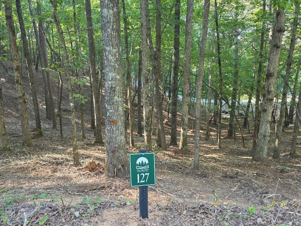 417799 East Ellijay 