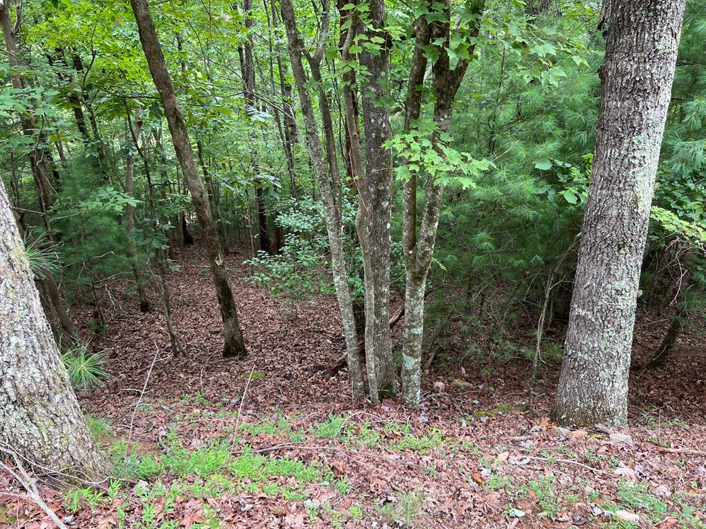 417825 Ellijay 