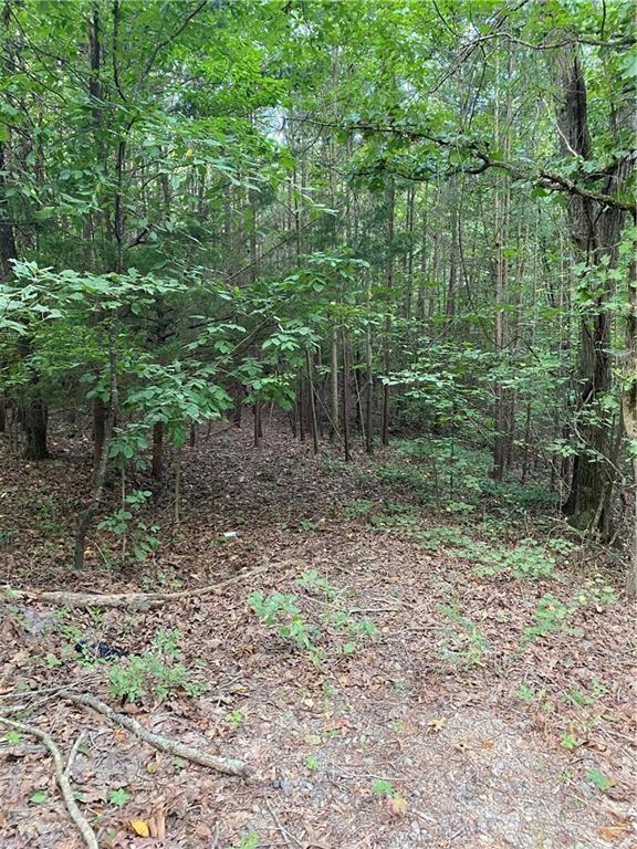417852 Ellijay 