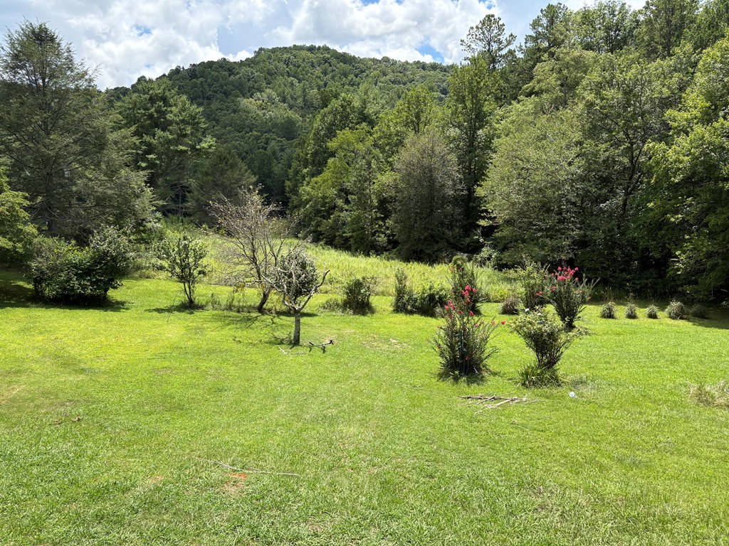 417873 Suches Residential
