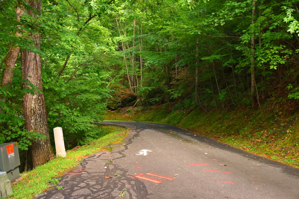 417923 Hayesville
 Land
