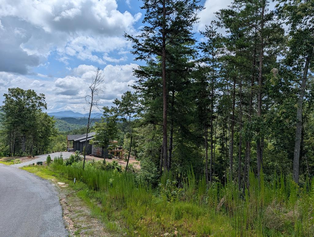 417946 Mineral Bluff 