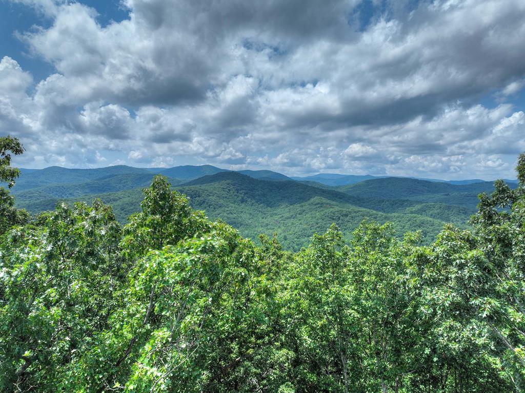 417962 Blue Ridge 