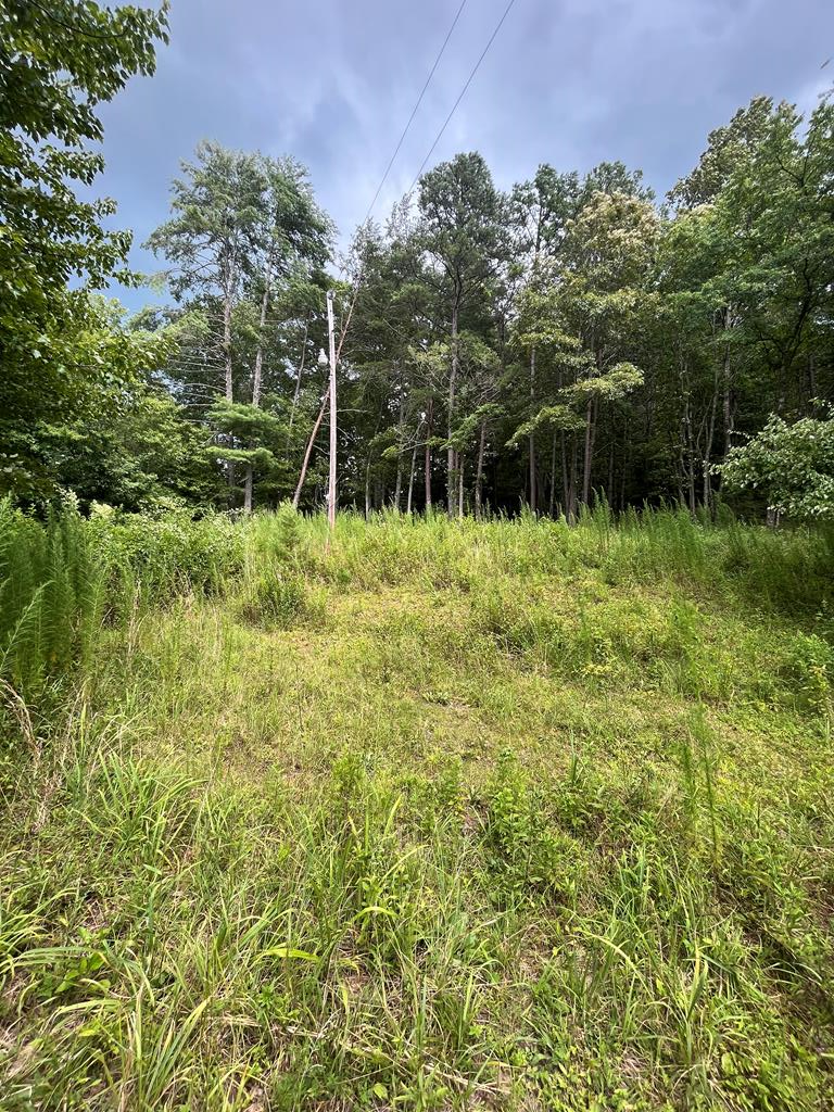 418012 Mineral Bluff 