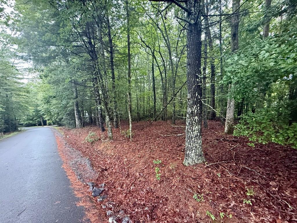 418013 Hayesville 