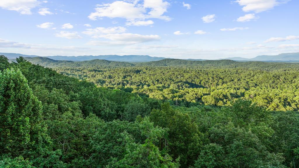 418015 Ellijay Residential