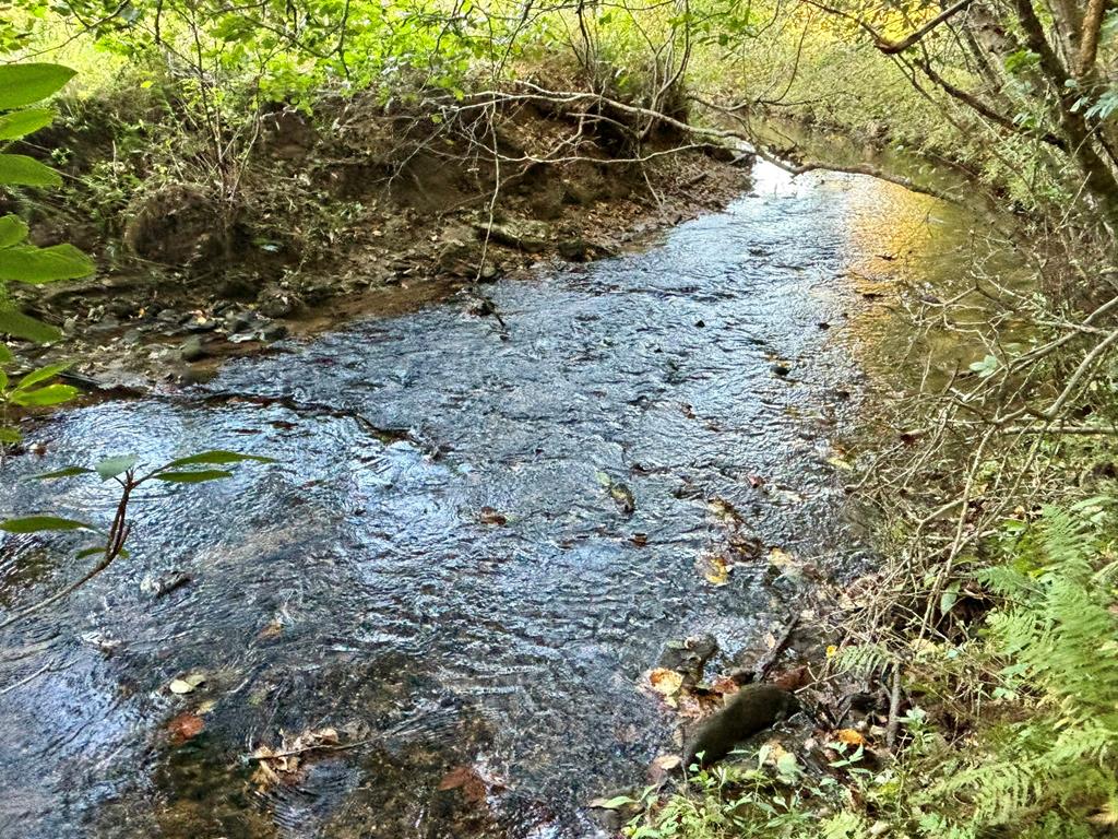 418033 Morganton Land