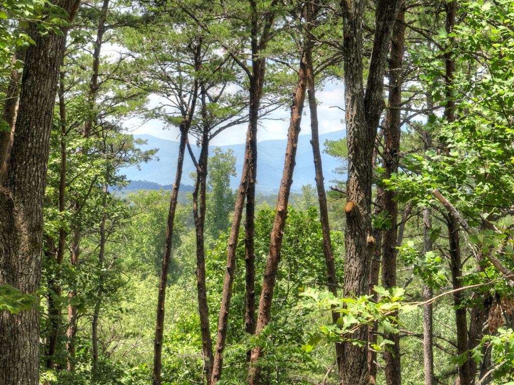418040 Morganton Residential