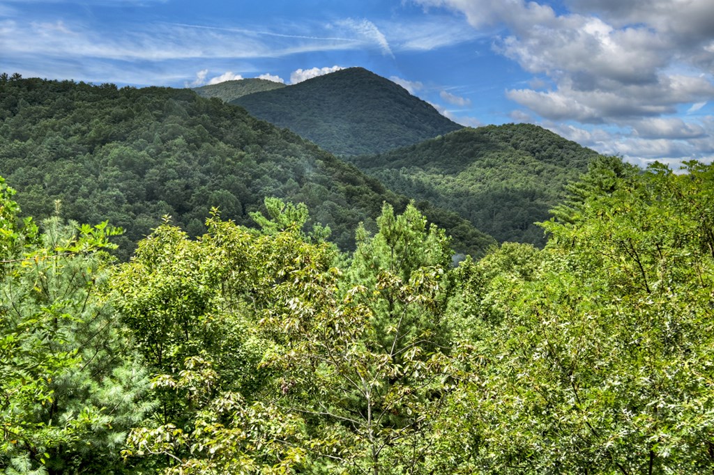 418075 Blue Ridge Residential