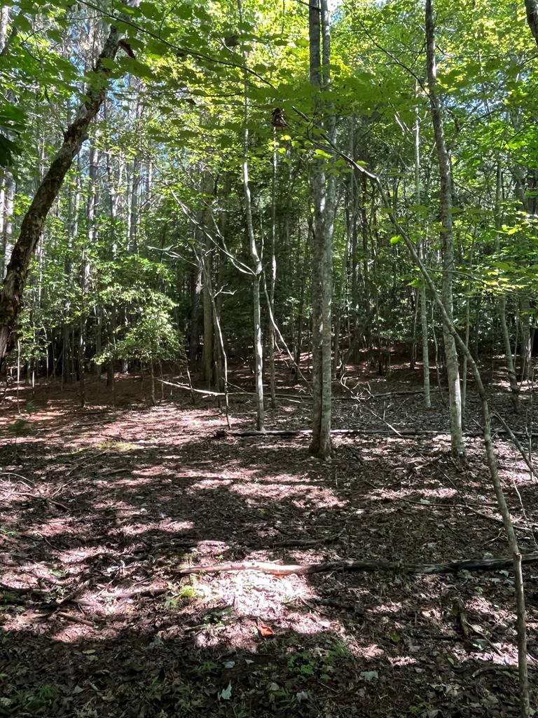 418076 Young Harris Land
