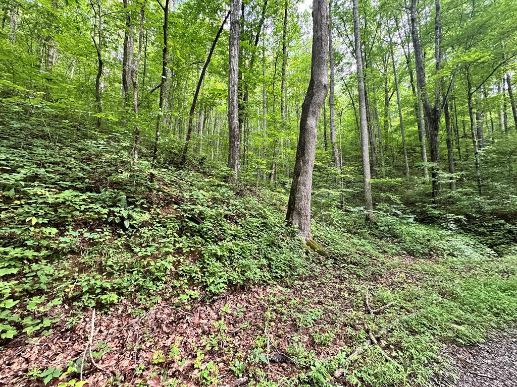 418103 Hayesville 