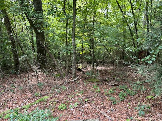 418165 Ellijay 