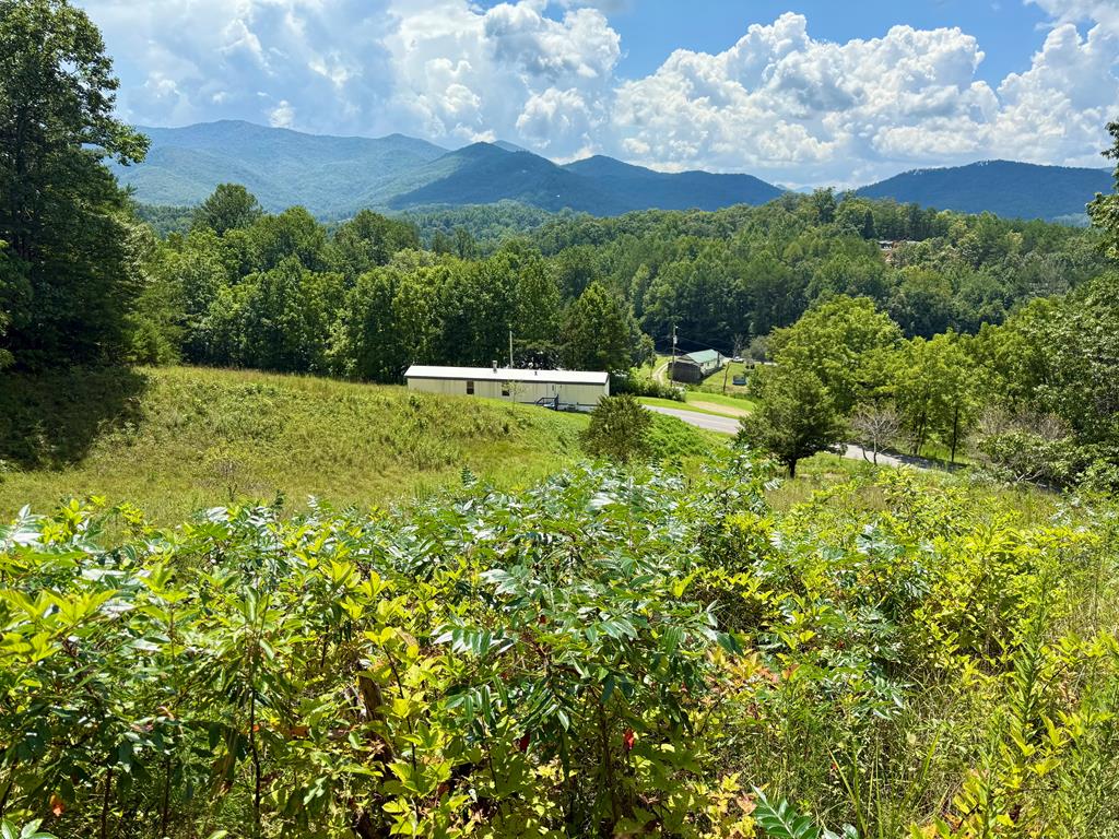 418167 Hayesville 