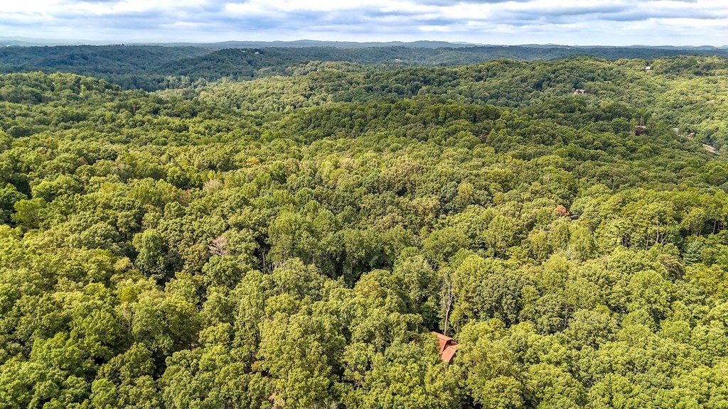 418176 Ellijay Residential