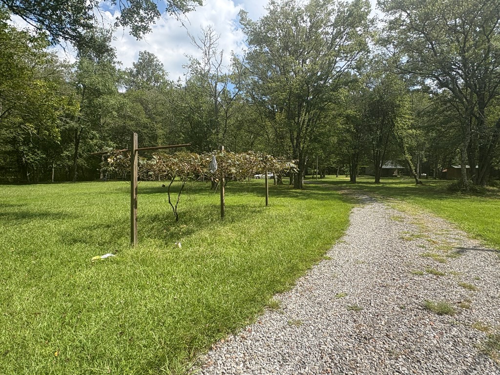 418215 Mineral Bluff Residential