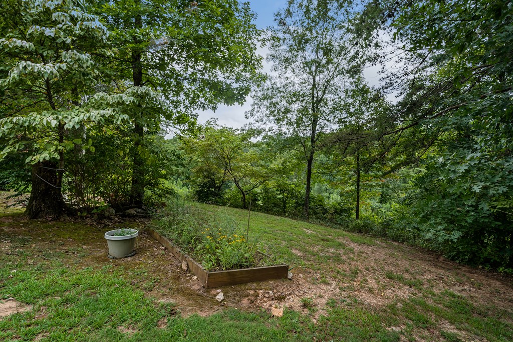 418219 Talking Rock Residential