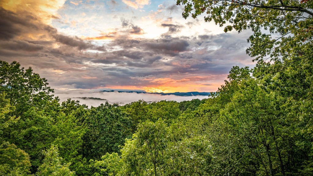 418239 Blue Ridge Residential
