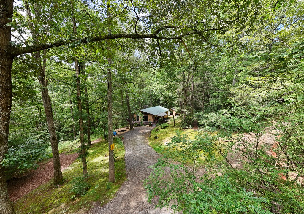 418243 Murphy Residential