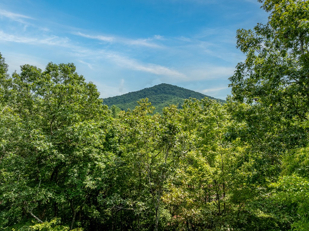 418257 Cherry Log Residential