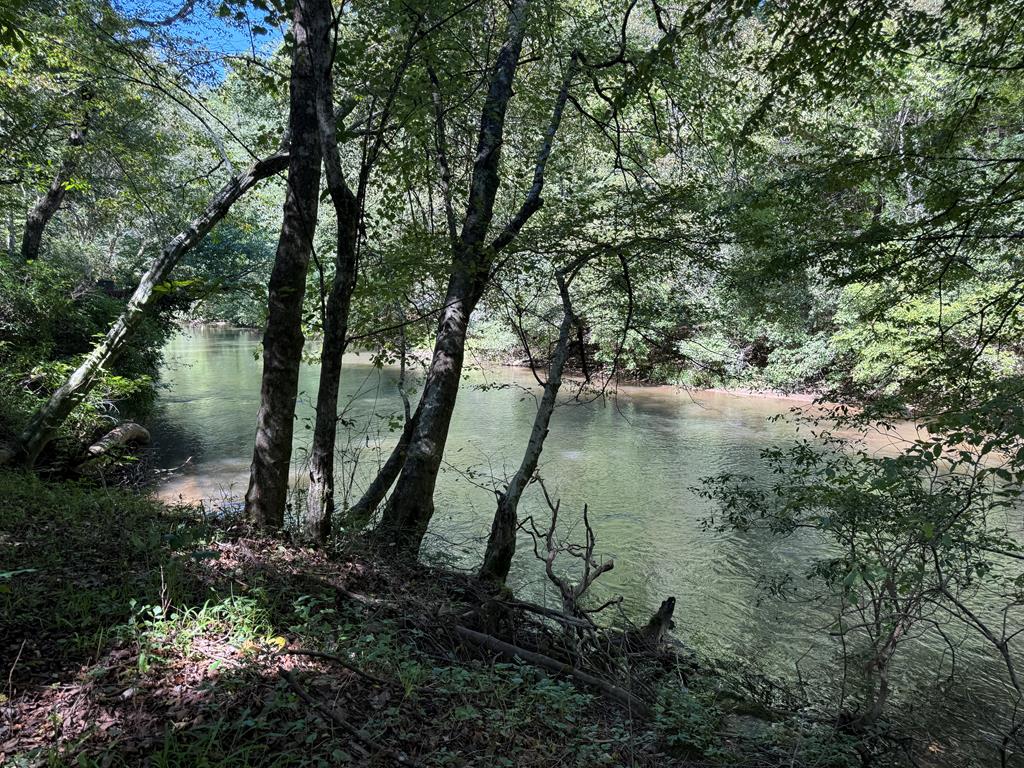 418316 Ellijay 