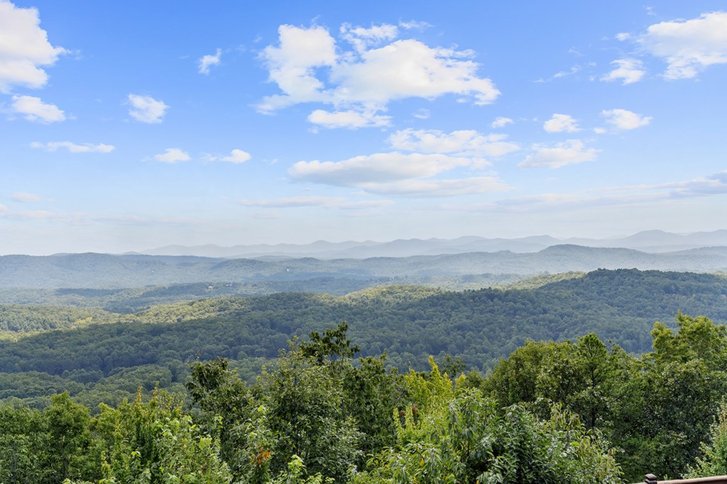 418317 Mineral Bluff Residential