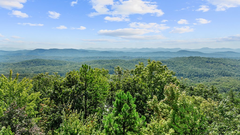 418317 Mineral Bluff Residential