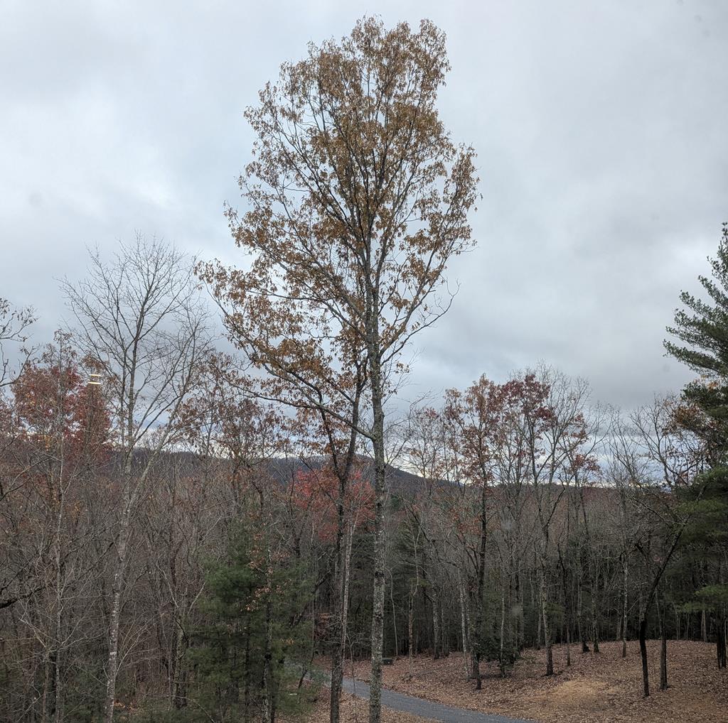 418348 Morganton Residential