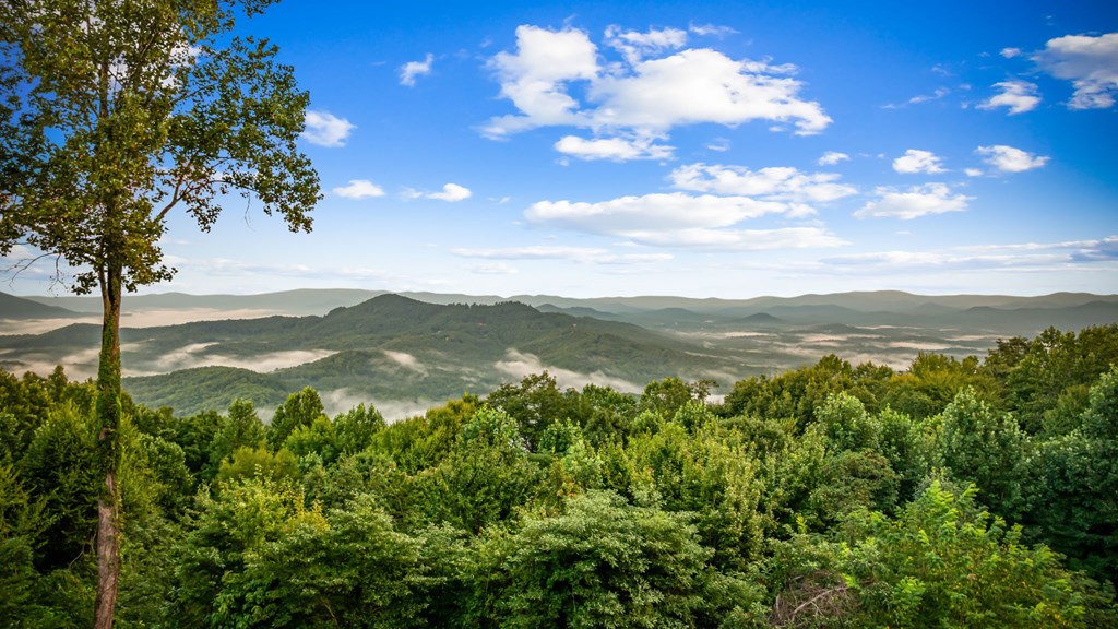 418351 Mineral Bluff Residential