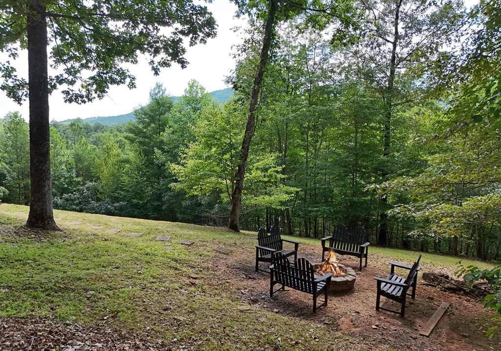 418357 Mineral Bluff Residential