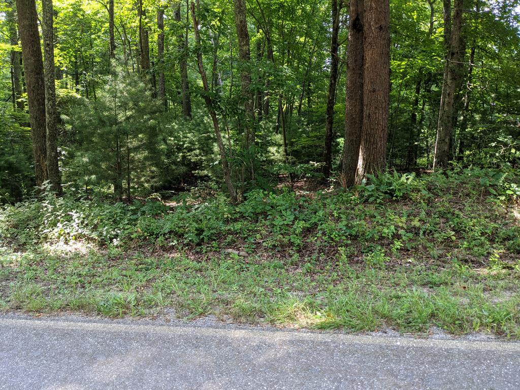 418408 Hayesville 